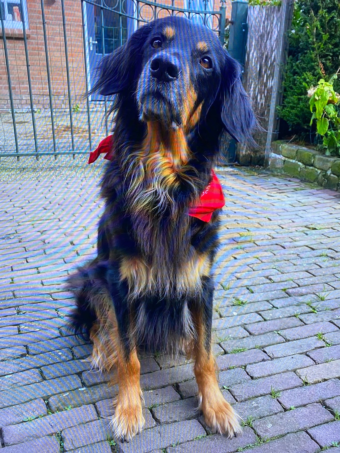 Portretten van een foto