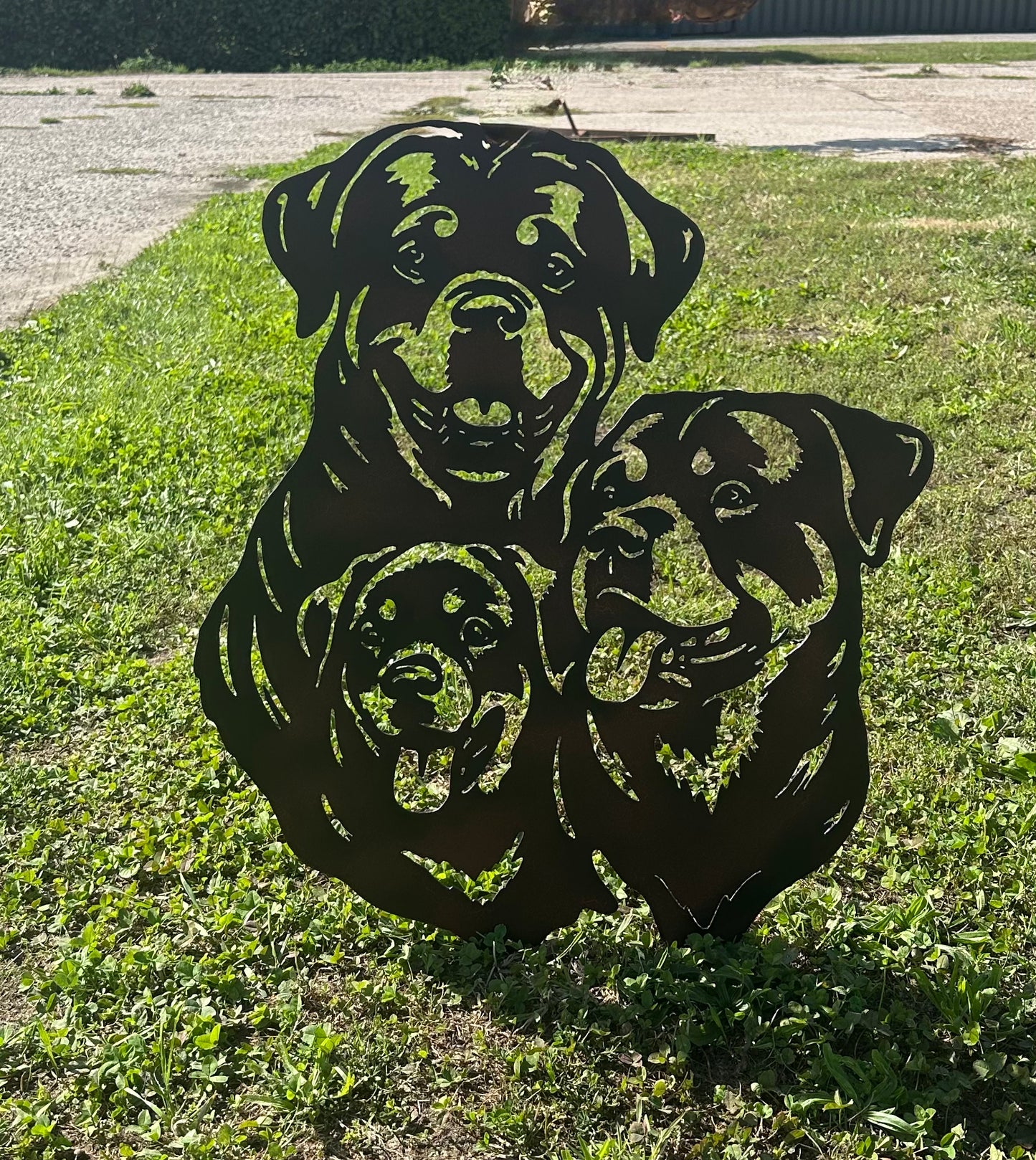 Rottweiler trio