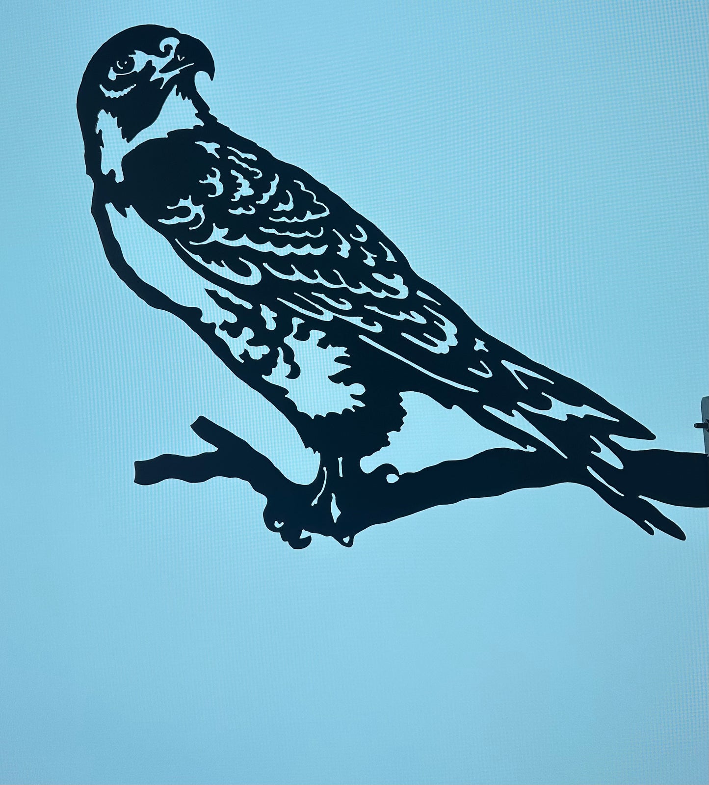 Roofvogel 2