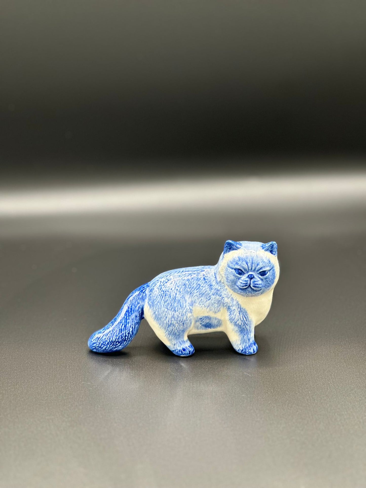 Delfts blauwe poes