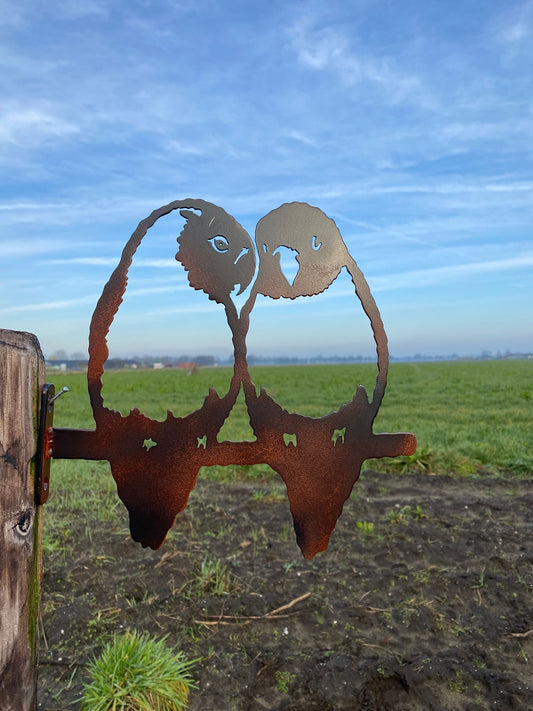 Tropische vogels 2