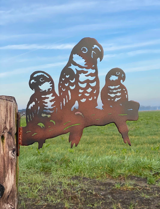 Tropische vogels 3