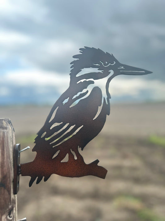 Ijsvogel