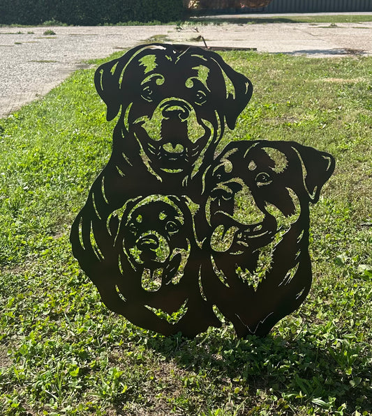 Rottweiler trio
