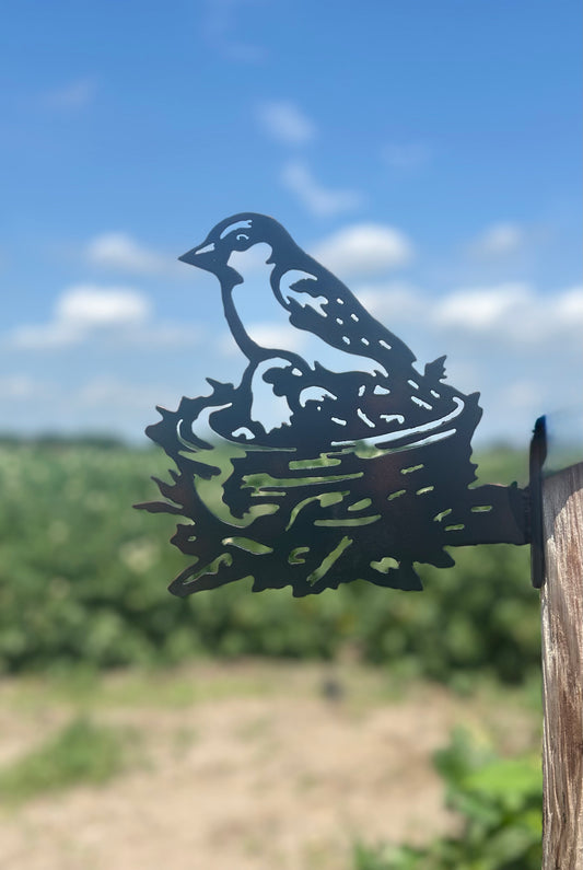 vogel op nestje