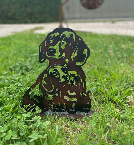 Gladhaar teckel (met pups)