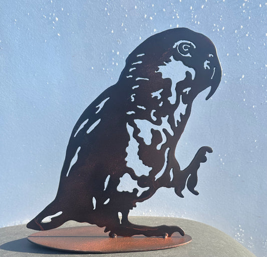 Tropische vogel 10 Caique