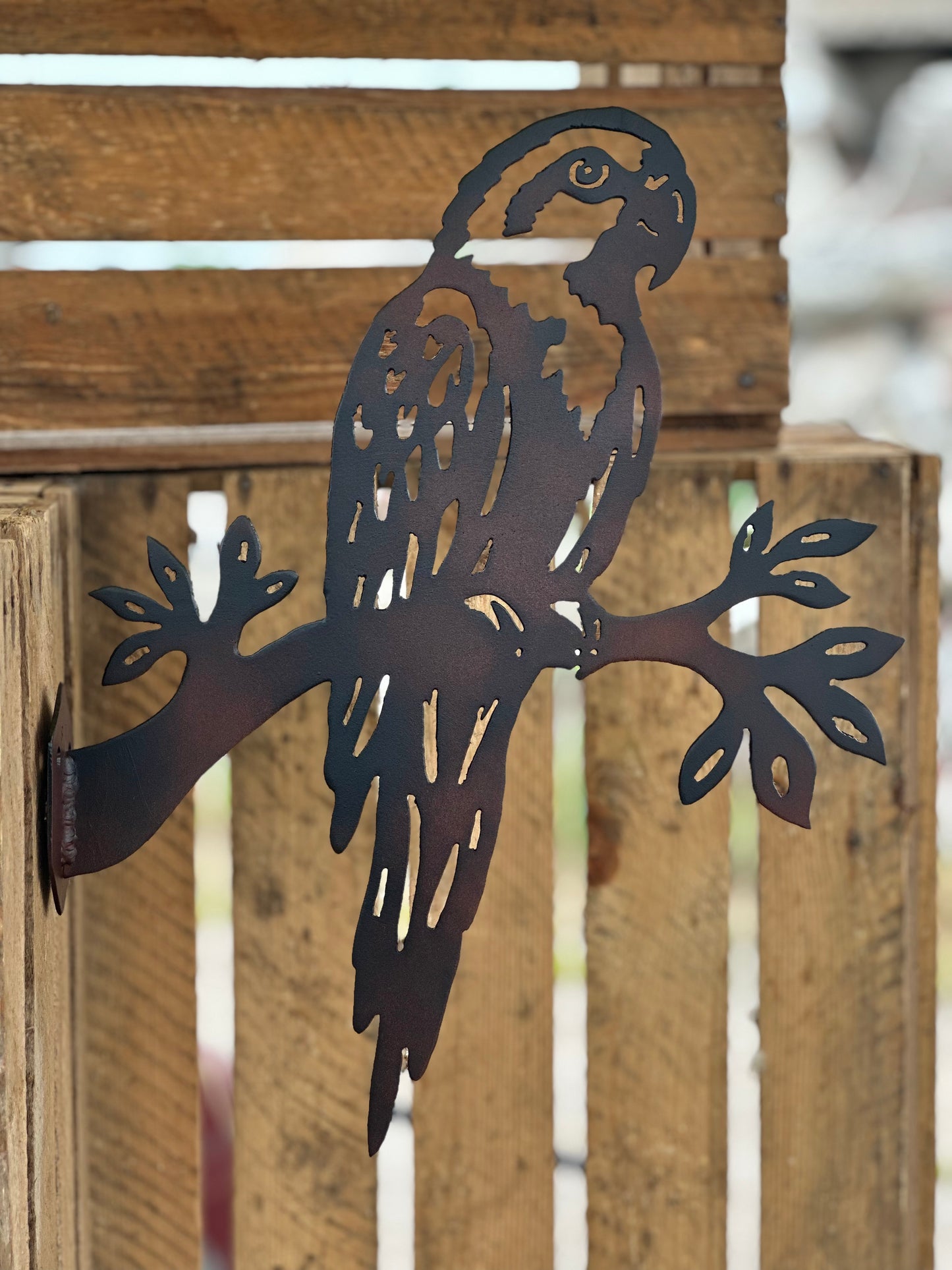 Tropische vogel 11 "Goud parkiet"