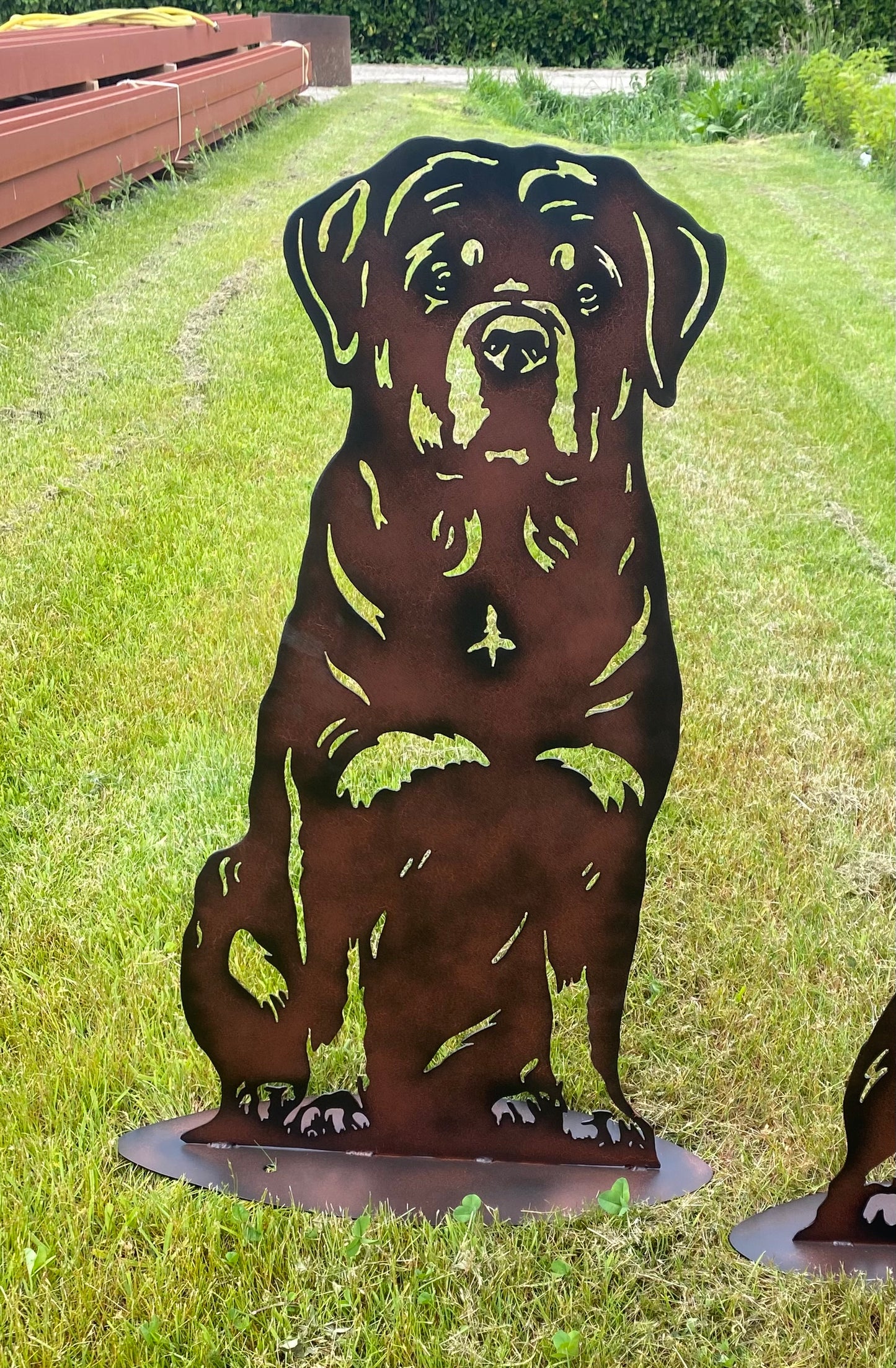 Rottweiler