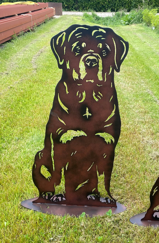 Rottweiler