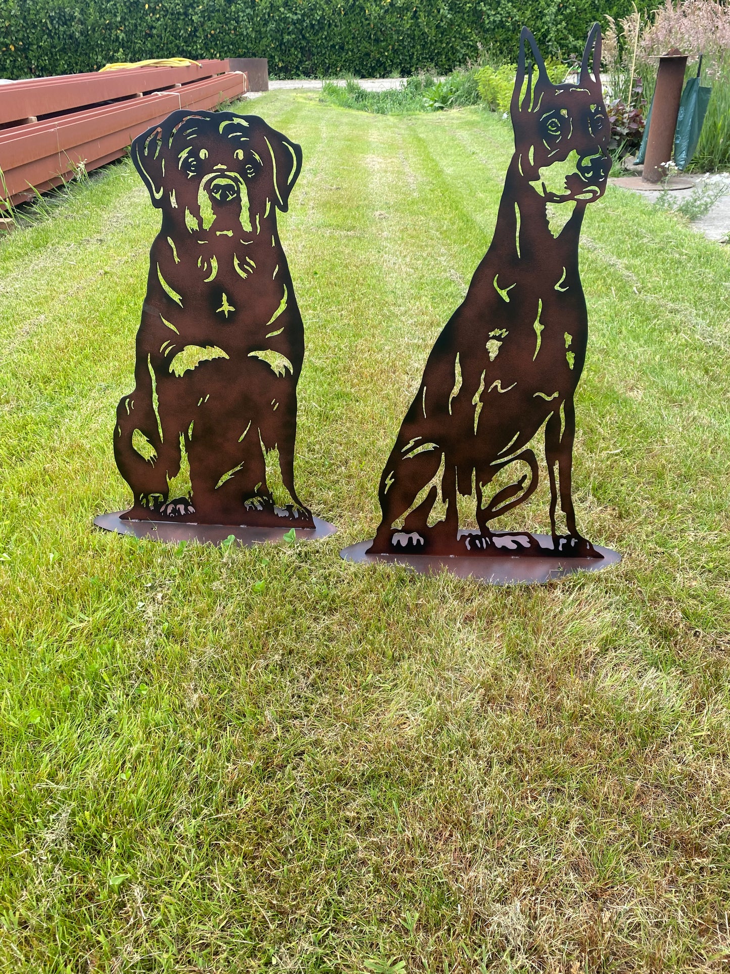 Rottweiler
