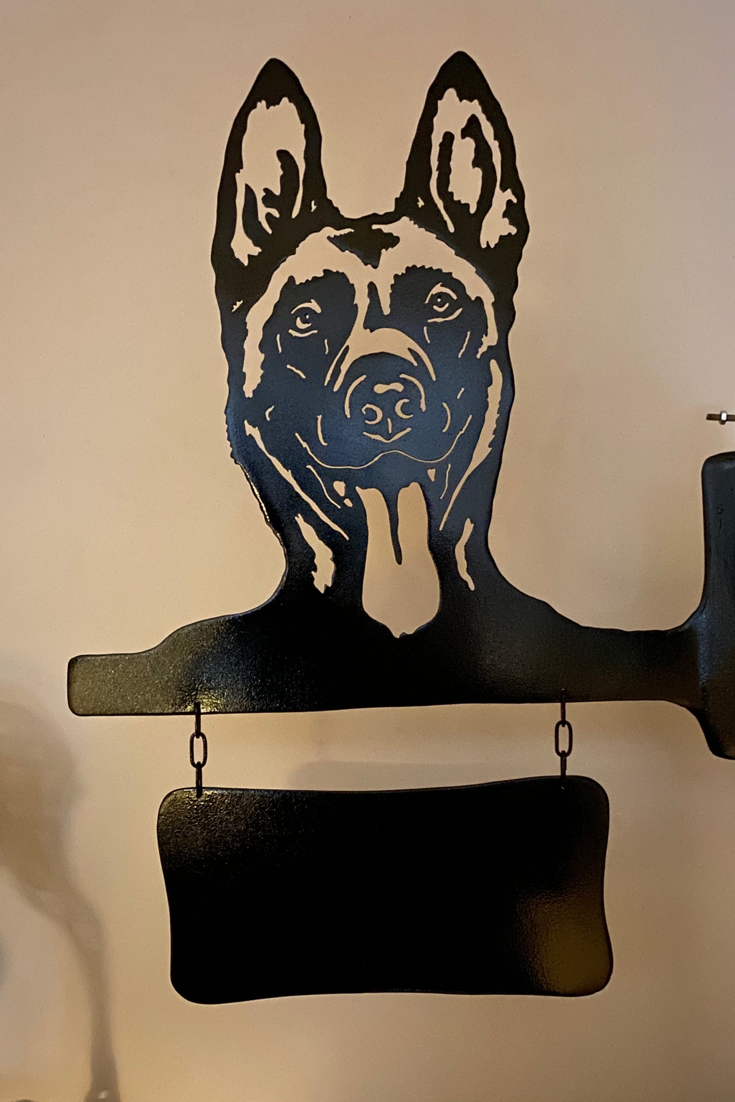 Honden naambord 6