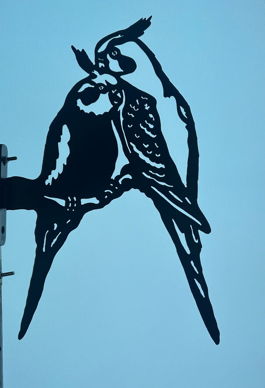 Tropische vogels 9