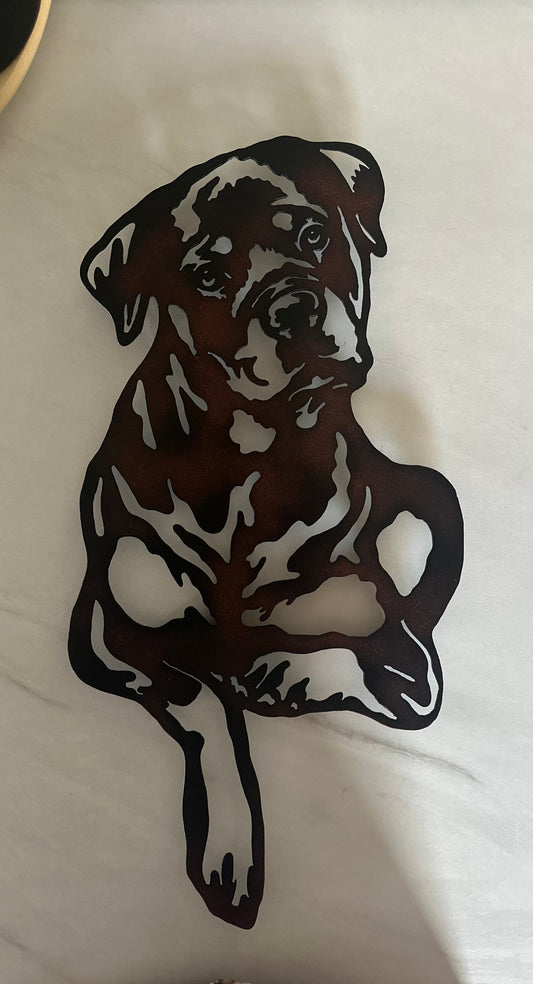 Rottweiler 1