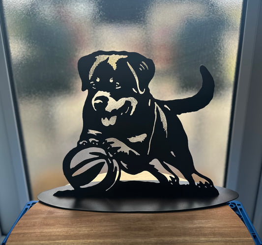 Rottweiler 2