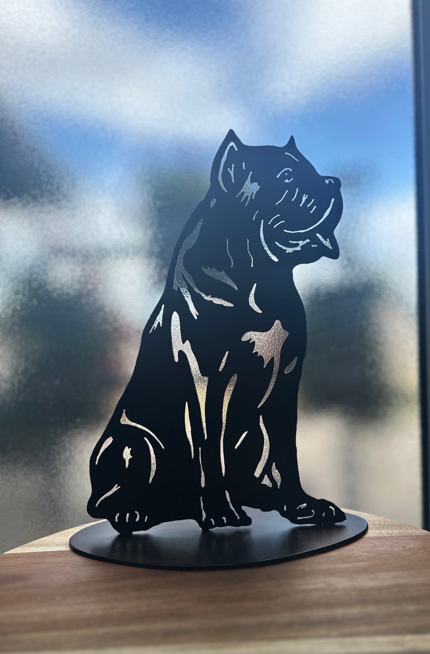 Cane corso