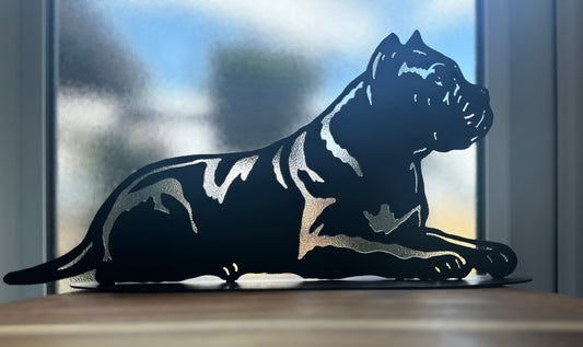 Cane corso 1