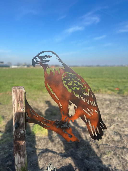 Roofvogel 1
