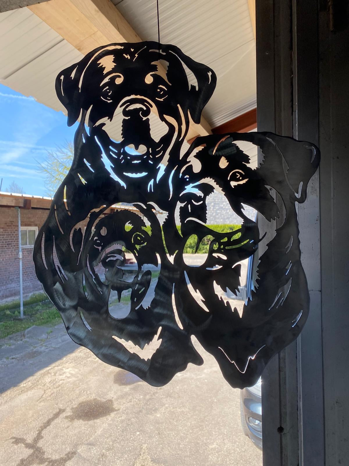 Rottweiler trio