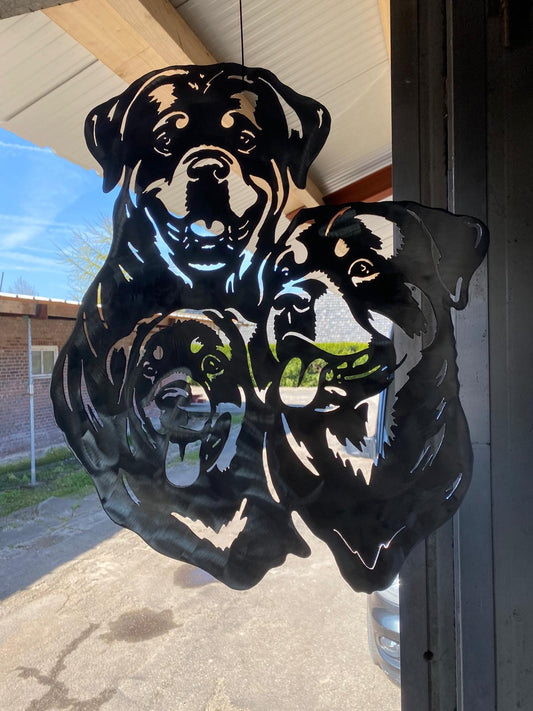 Rottweiler trio
